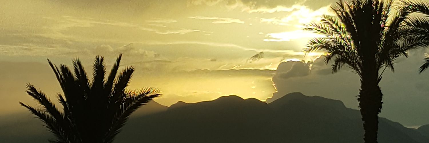 OziMika's profile banner image