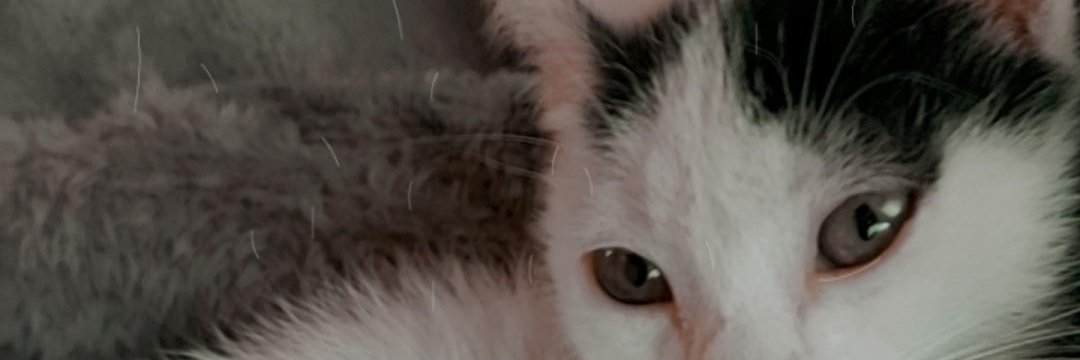 FlorenciaPol's profile banner image