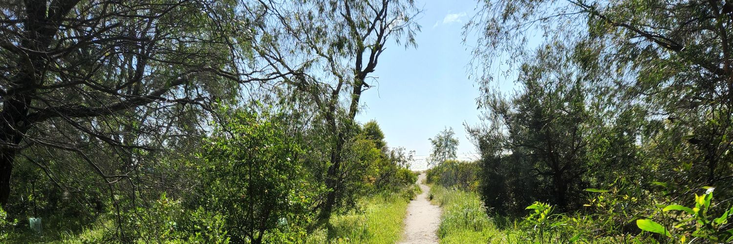 Fiona McGaughey banner