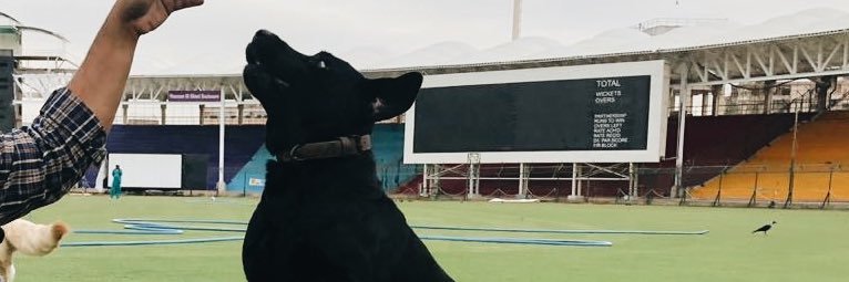 kayshaa__'s profile banner image