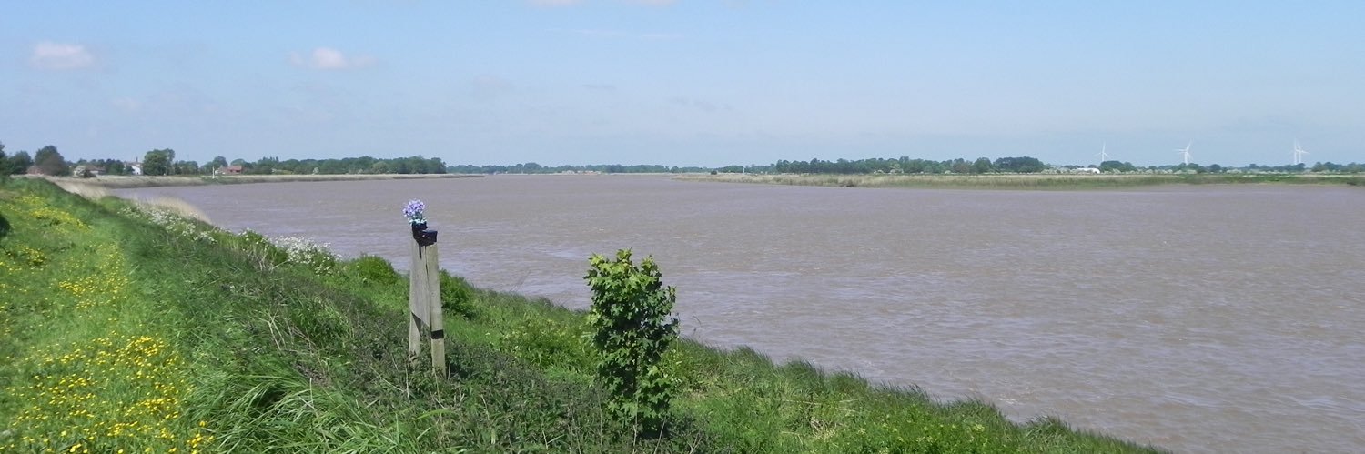 reednesspenrose's profile banner image