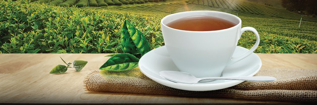 ChaiBora's profile banner image