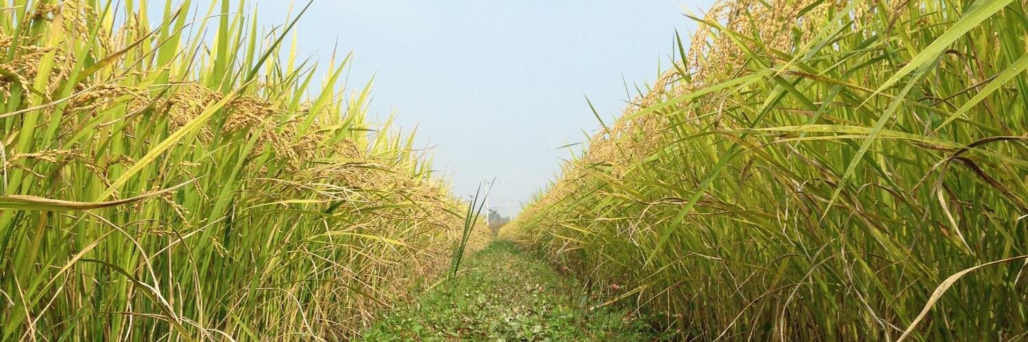 Biodiv_inc's profile banner image
