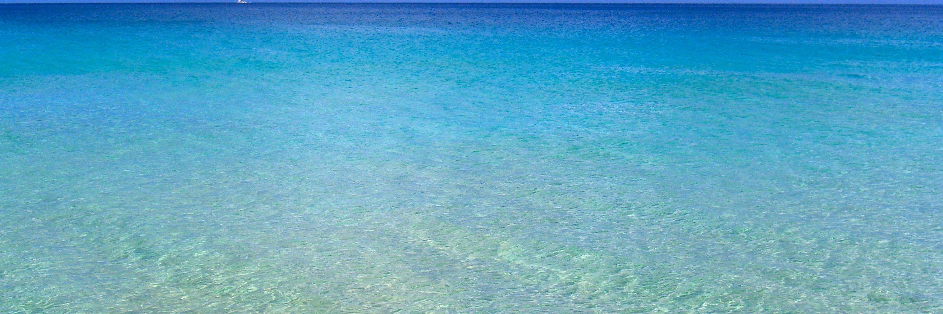 ShellyMTMG's profile banner image