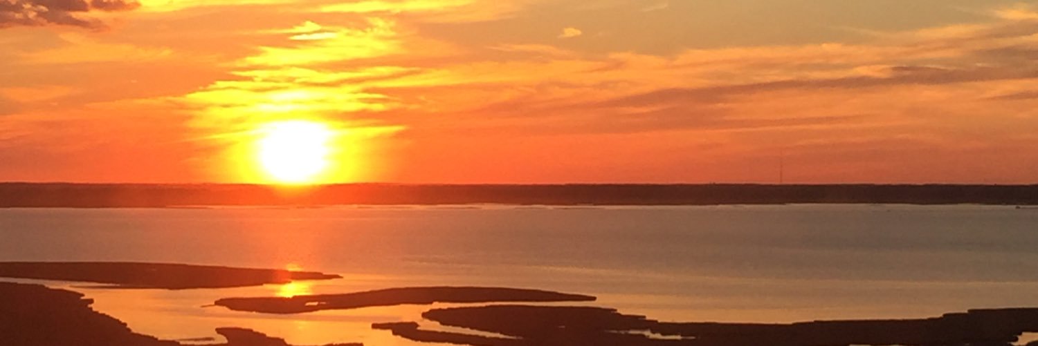 DZickus's profile banner image