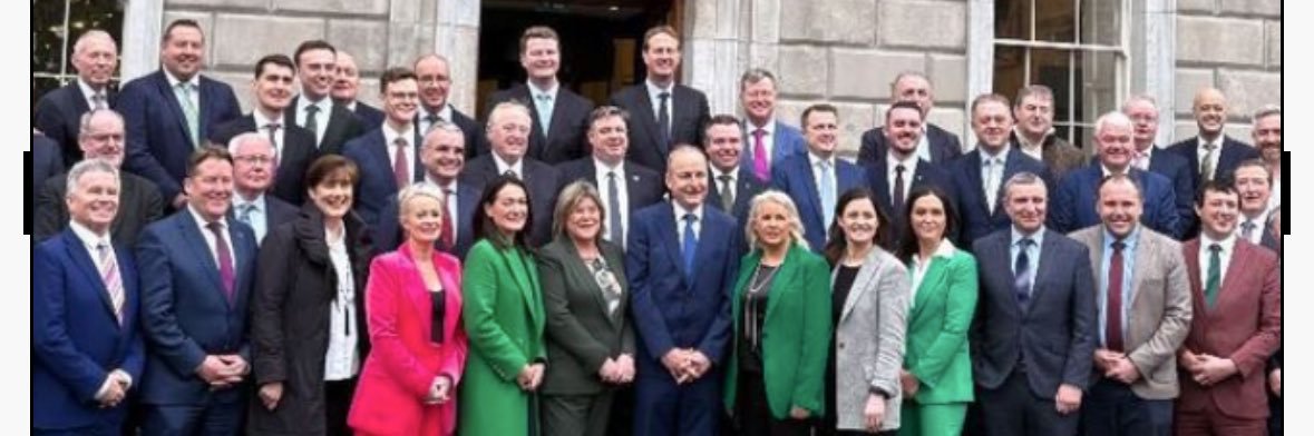 Mary Butler TD banner