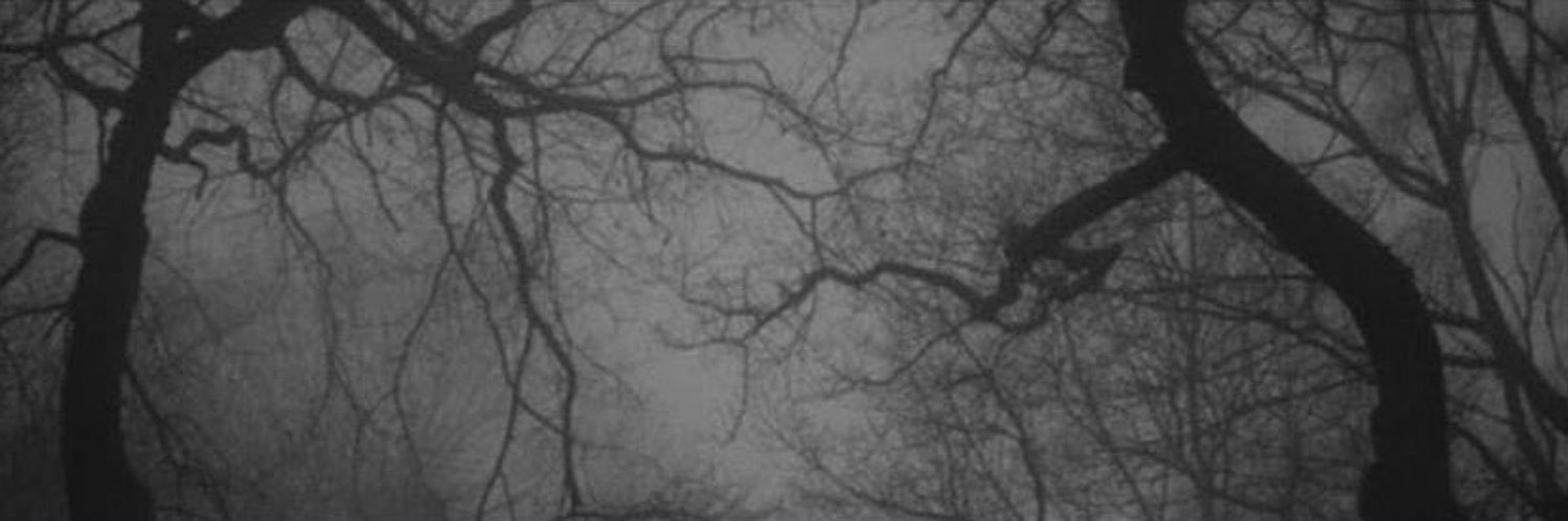 rcjil's profile banner image