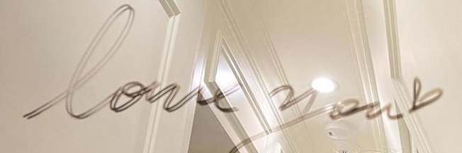 shile banner