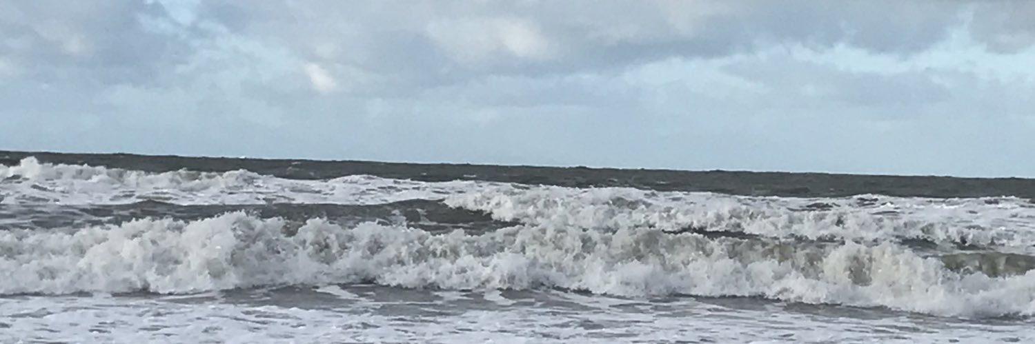 Mostlyswimming banner