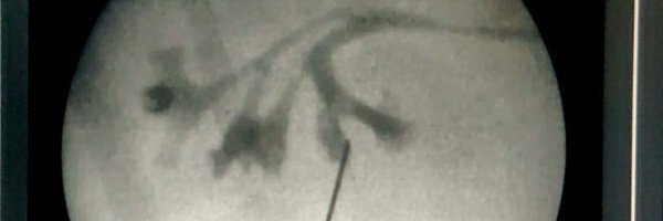 docdilipmishra Profile Banner