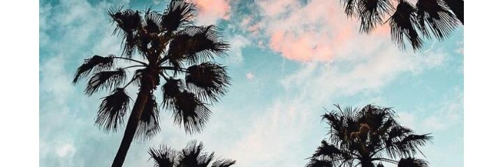 Lu_Flynn's profile banner image