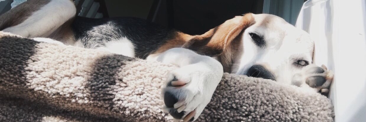 ashleychris97's profile banner image