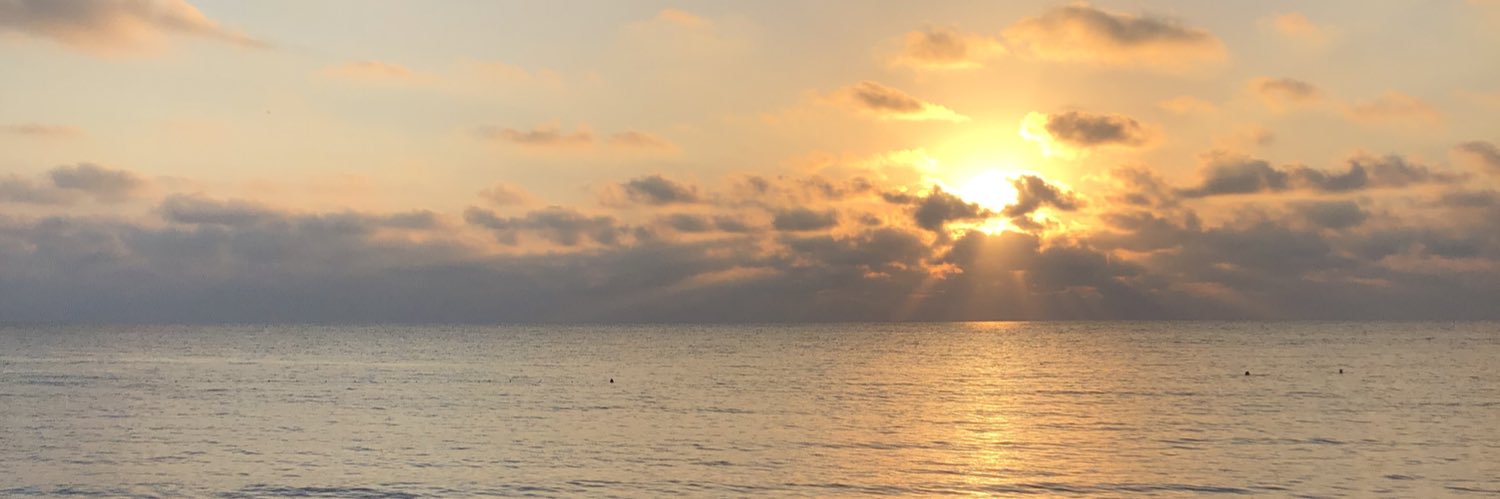 ebruuaygun's profile banner image