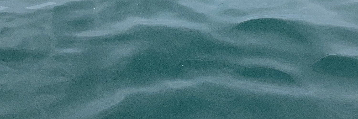 elastrosol's profile banner image