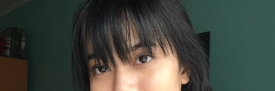 baringgini's profile banner image