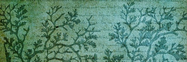 CarolineGrev's profile banner image