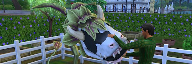 koremada_sim's profile banner image