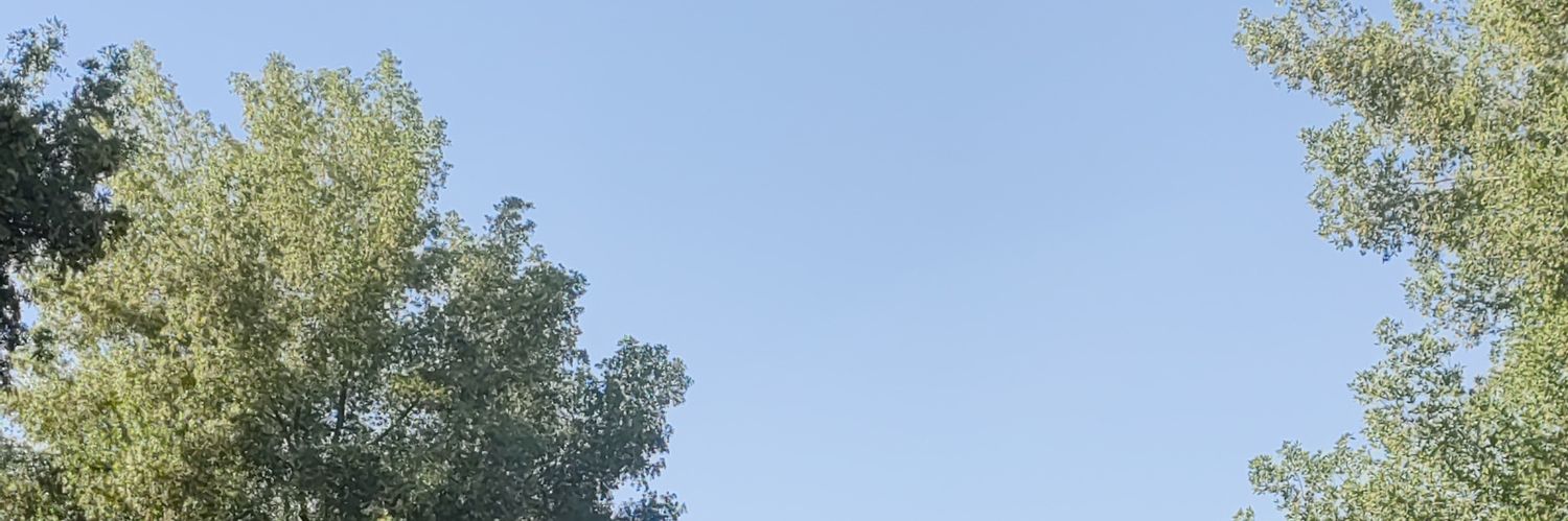 ziyad banner