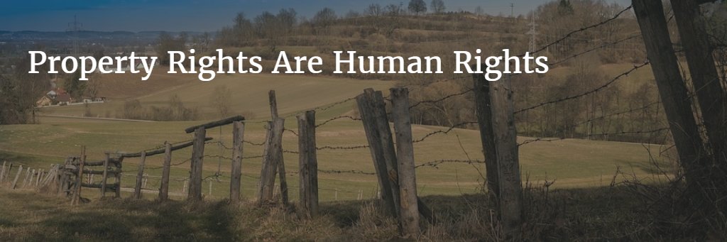 Bruce Koerber banner