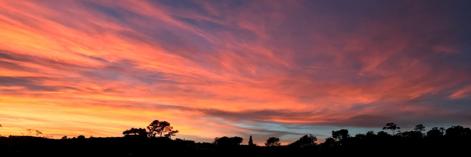 Scott 🇺🇸🦅🇺🇦💙 banner