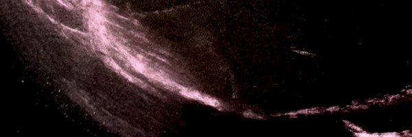 Teddygeiger Profile Banner