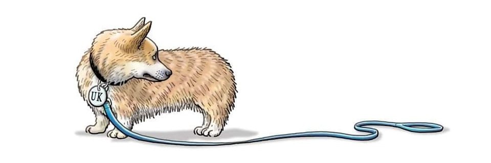 Corinna Turner banner