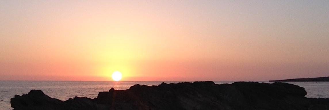ledoctoree's profile banner image