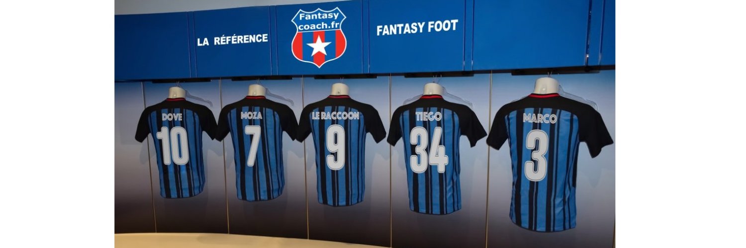 Fantasy Coach banner