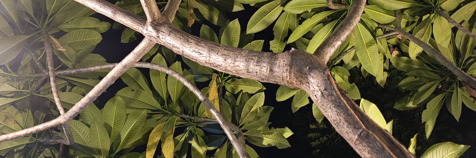 ferry_ags's profile banner image