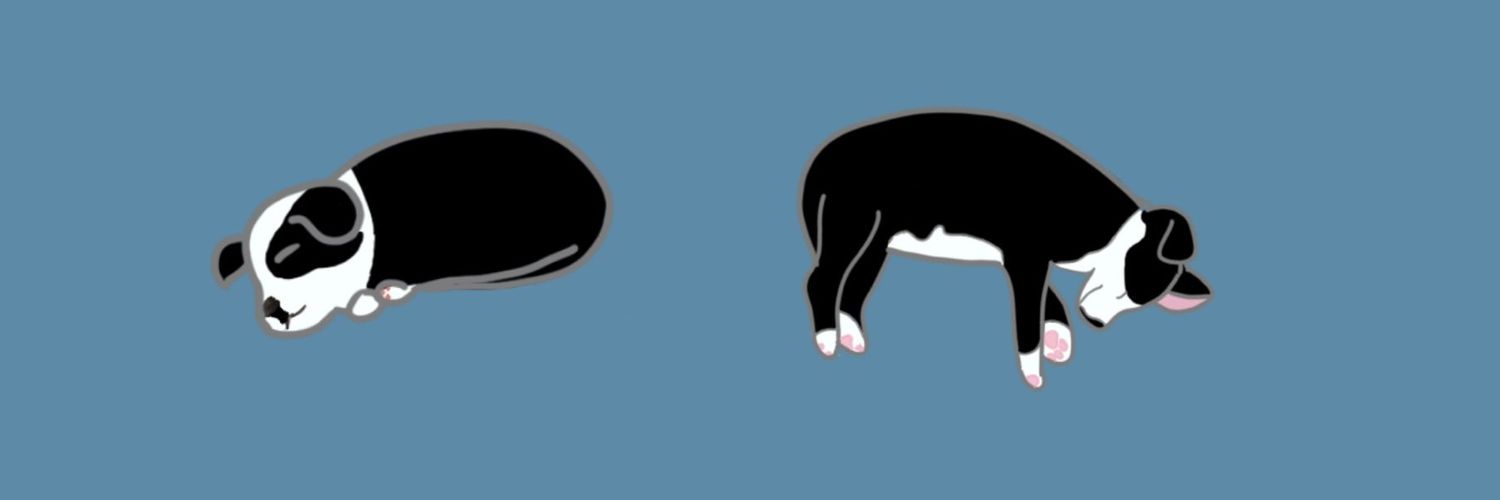Frickfrack97's profile banner image