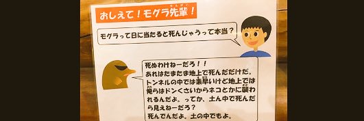 こいわいわいこ banner