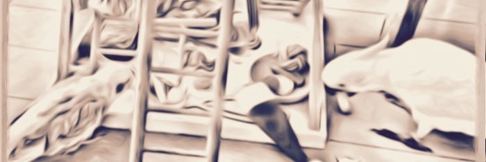kotoripunk's profile banner image