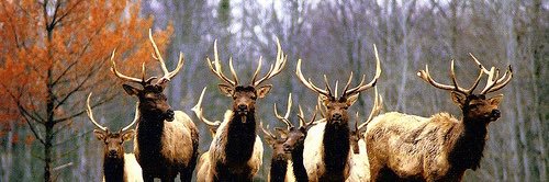 Hudson Lake Heat banner