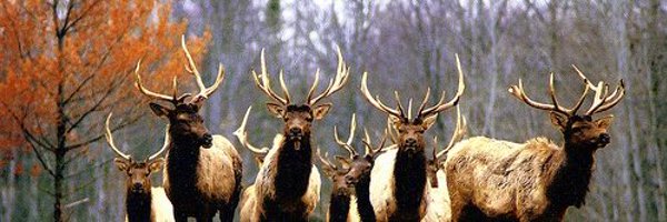 HLHeat Profile Banner