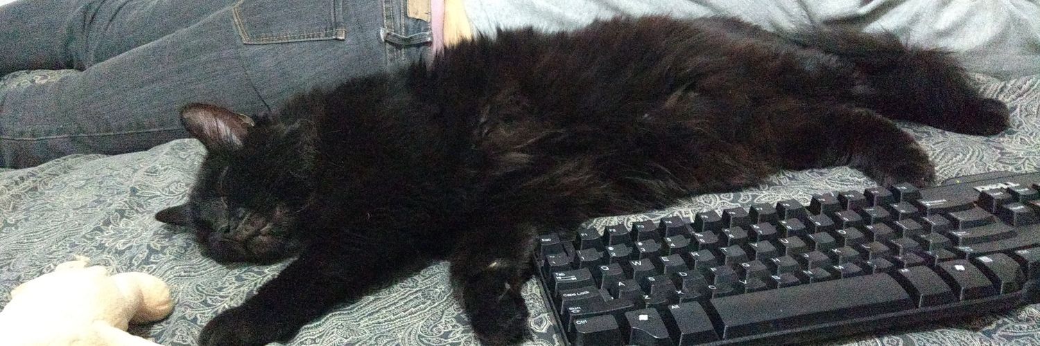Cassirole98's profile banner image
