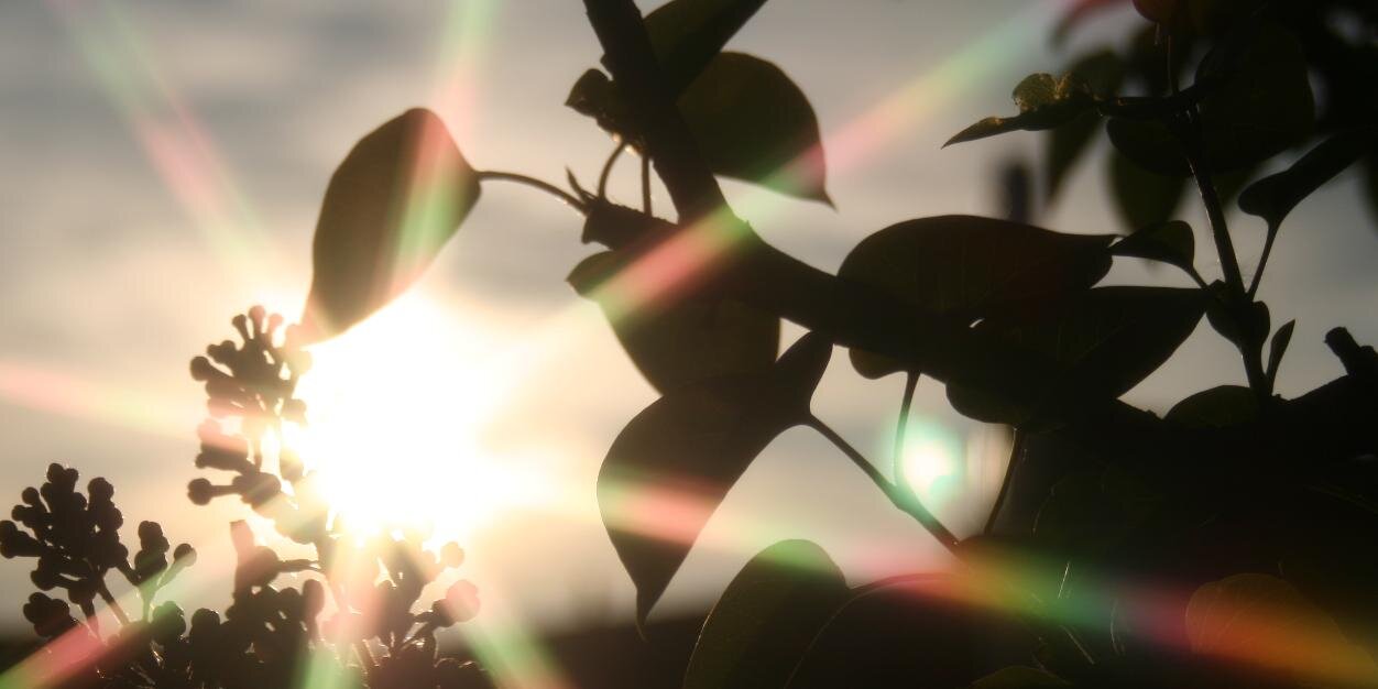 PohlHeike's profile banner image