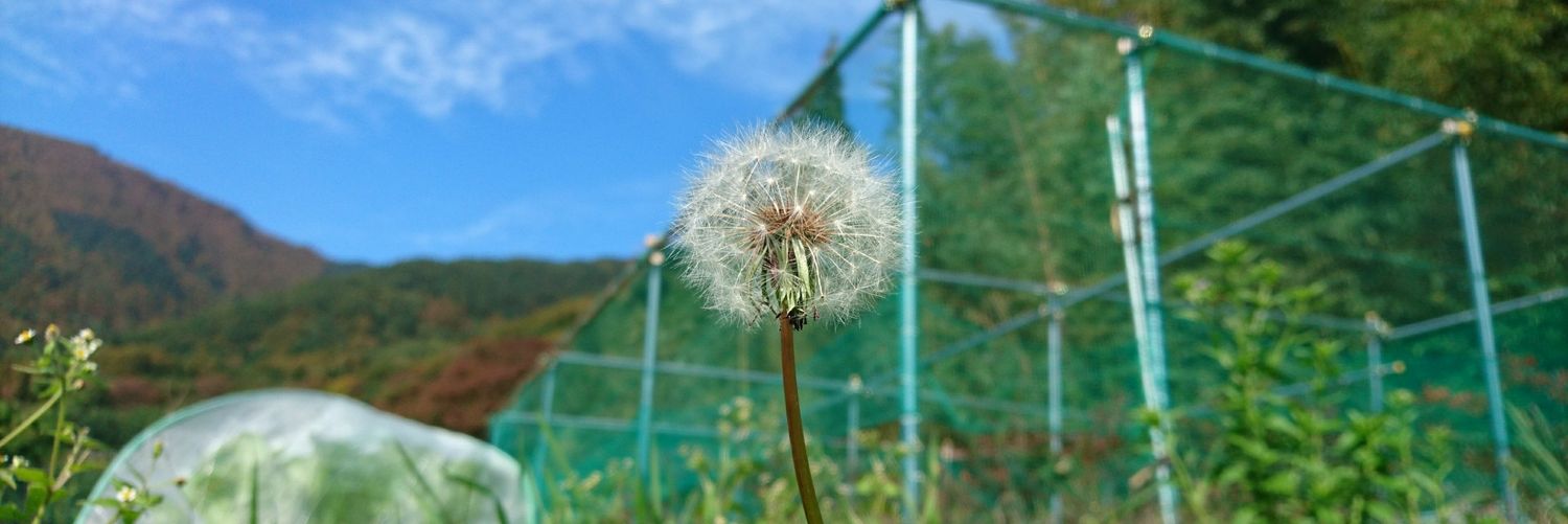 cherryminto114's profile banner image