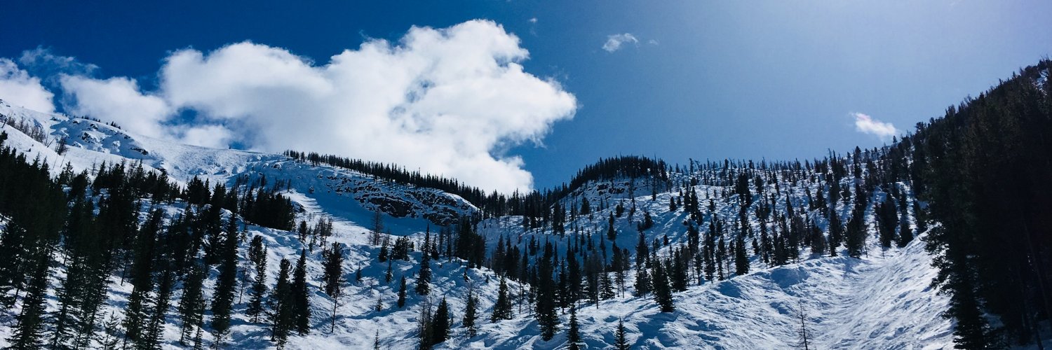 tlamjs's profile banner image