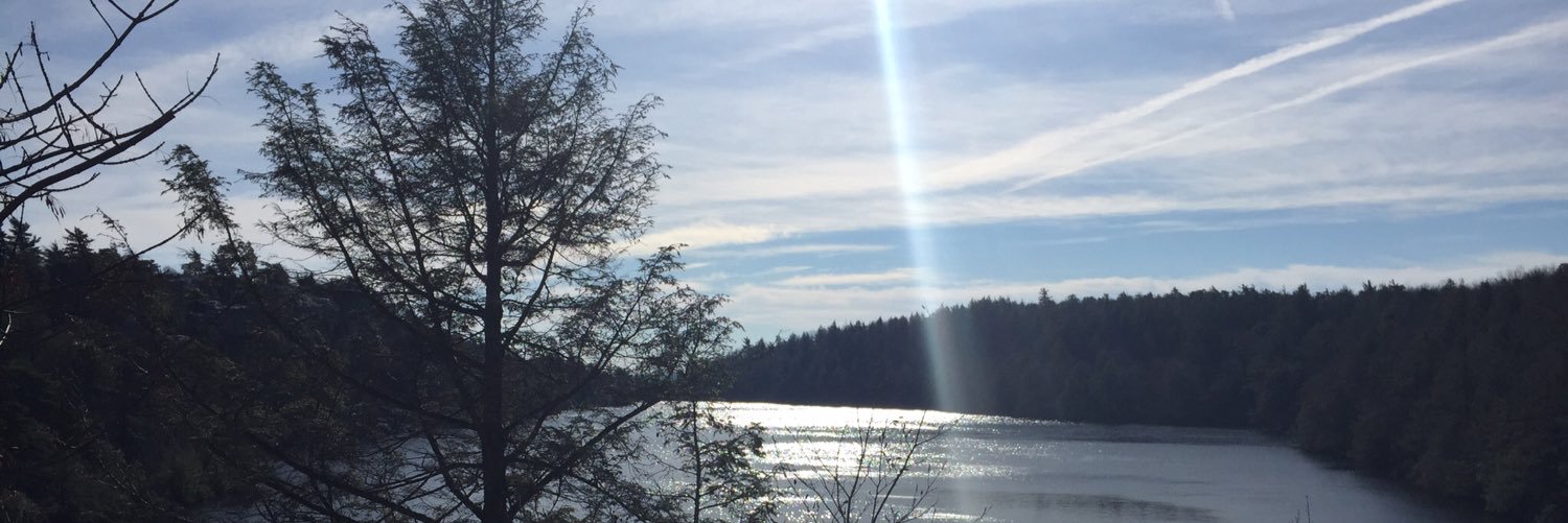 CMartor's profile banner image