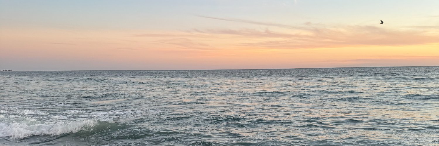 bellajadek's profile banner image