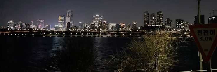 𝓡𝓸𝓻𝓪 banner