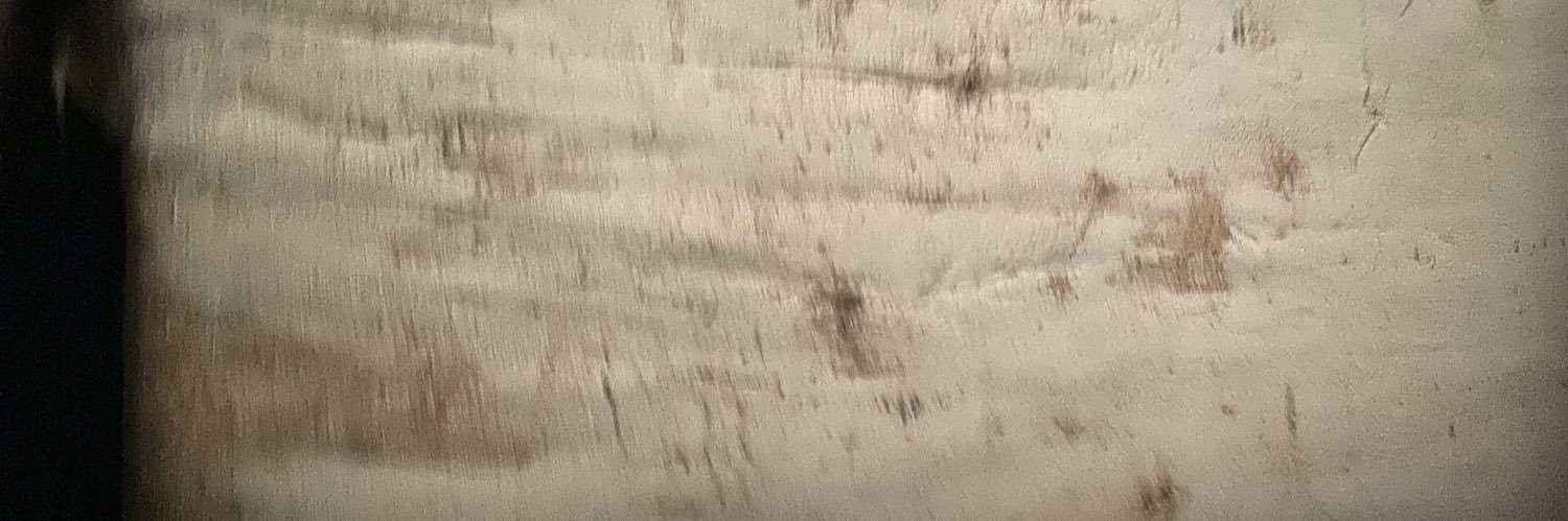 ofbircik's profile banner image