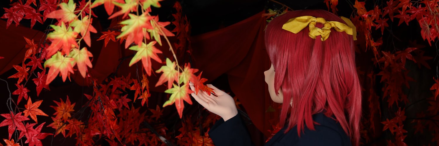 アクネス (kig) banner