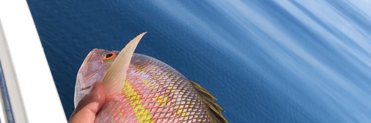 DMarin02's profile banner image