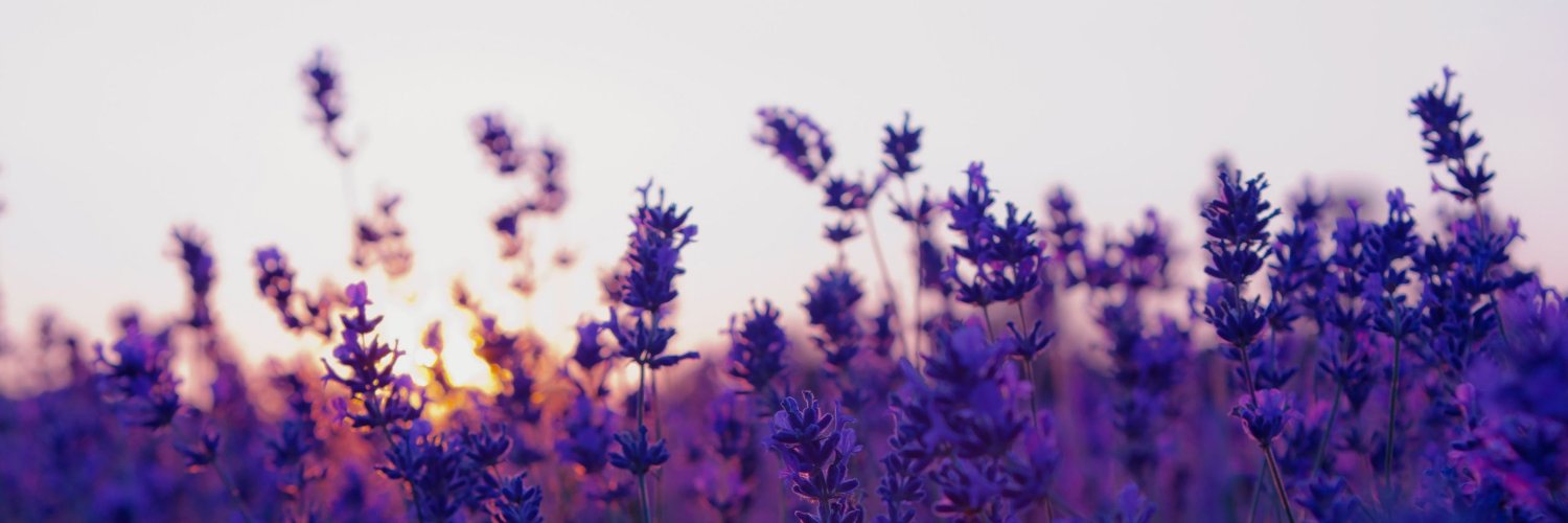 Poppy 🌹😈🌹 banner