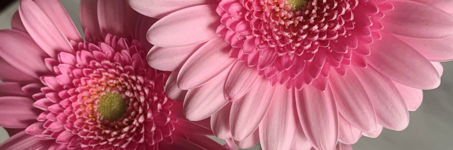 LbrnMarie's profile banner image