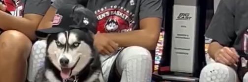 jghusky16's profile banner image