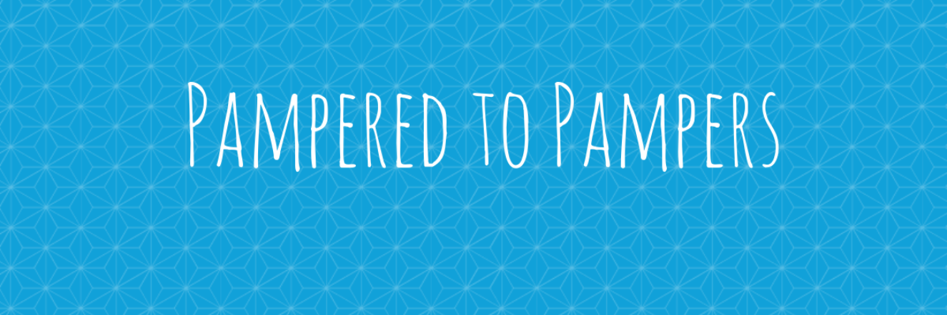 DiaperDebt banner