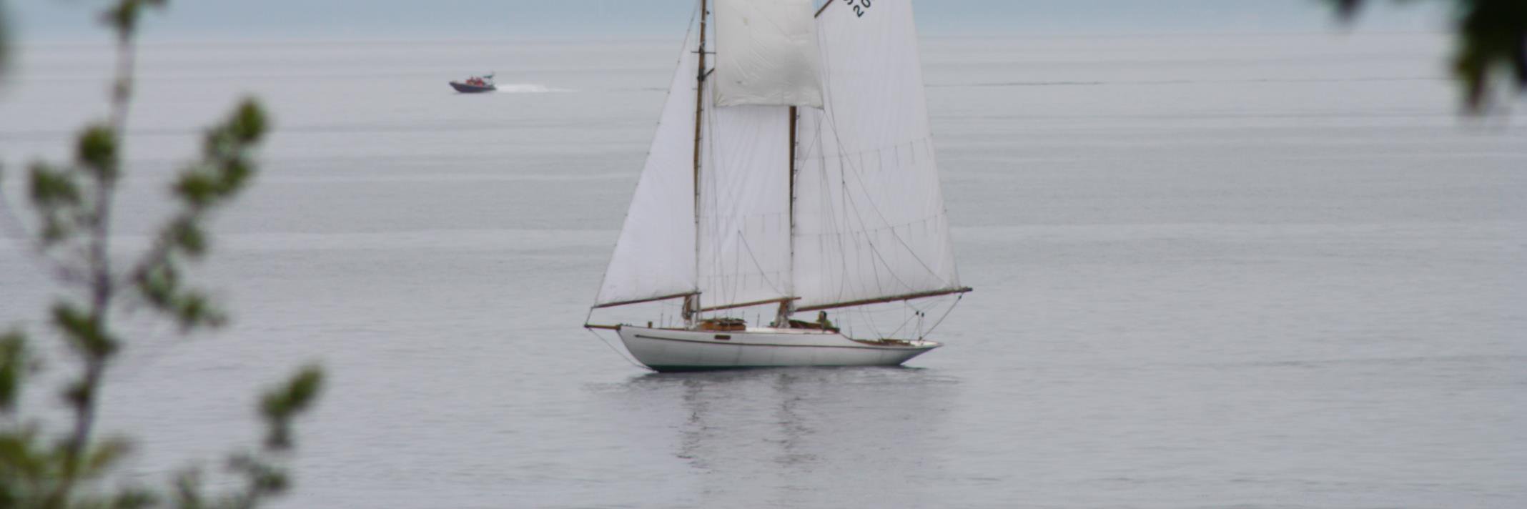 Oakville Homes banner