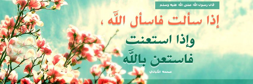 Remonda Dodo 🕊🎀🌸🌿🌧🌙🕋🌙 banner